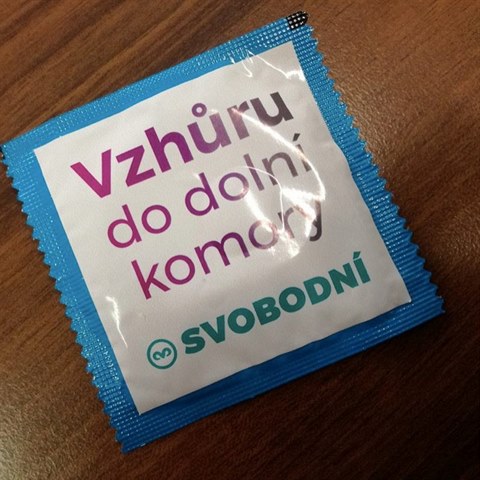 Svobodn dvojsmysln lkaj volie k volbm.