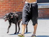 Hollywoodský krasavec a jeho zesnulý pes Sidi. Toho zachránil bhem natáení v...