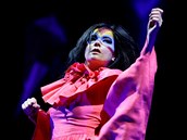 Islandská zpvaka Björk se proslavila po celém svt.