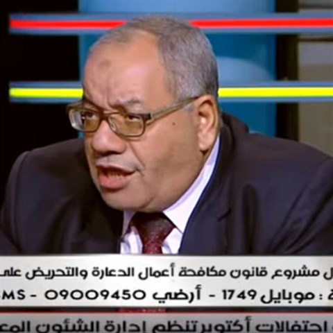 Egyptský právník Nabih al-Wahsh je reprezentantem názorů, jejichž uplatnění by...