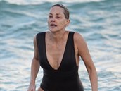 Ani Sharon Stone nedokáe zabránit stárnutí.