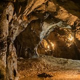 V Býčí jeskyni bylo nalezeno několik desítek koster.