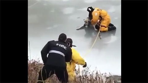 Psa v Kanad zachraovali z ledu.