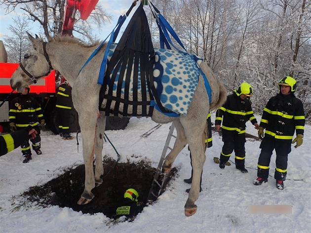 Na záchranu kon, který spadl do studny, vyrazili hasii spolu s dobrovolnými...