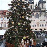 Praha a vnon strom 2017