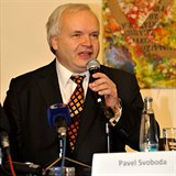 Europoslanec za KDU-SL Pavel Svoboda mn, e jet meme zmnit postoj k...
