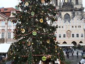 Praha a vánoní strom 2017