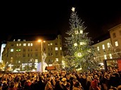 Slavnostní rozsvcení vánoního stromu na námstí Svobody v Brn.