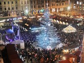 Vánoní strom na námstí Republiky v Plzni.