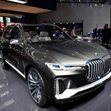 Koncept BMW X7.