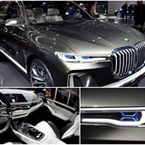 Koncept BMW X7.