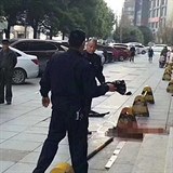Policista umlátil psa na veřejnosti.