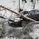 Na automobil znaky BMW spadl v Bohdkov- Komtka stromo. Nehoda se obela...
