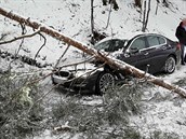 Na automobil znaky BMW spadl v Bohdíkov- Komátka stromo. Nehoda se obela...