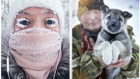 randění husky kluci