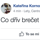 Status Kateiny Kornov.