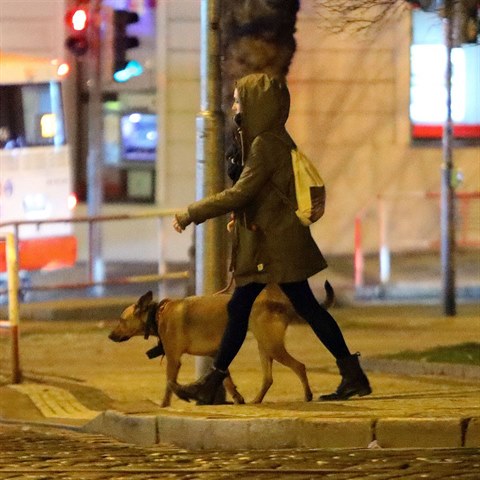 Lenka Zahradnick� se svou Franti�kou na proch�zce.