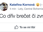 Status Kateiny Kornové.