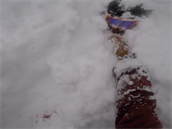Snowboardista sko�il do hlubokého sn�hu a bojoval o �ivot.