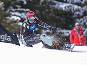 Medailová nadje eského olympijské výpravy. snowboardistka Ester Ledecká
