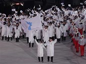 Výpravy KLDR a Jiní Koreje ly pi zahajovacím ceremoniálu pod jednou vlajkou....