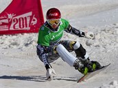 Obojivelnice Ledecká pesedlá zpt na snowboard. Co byste paralelním obím...