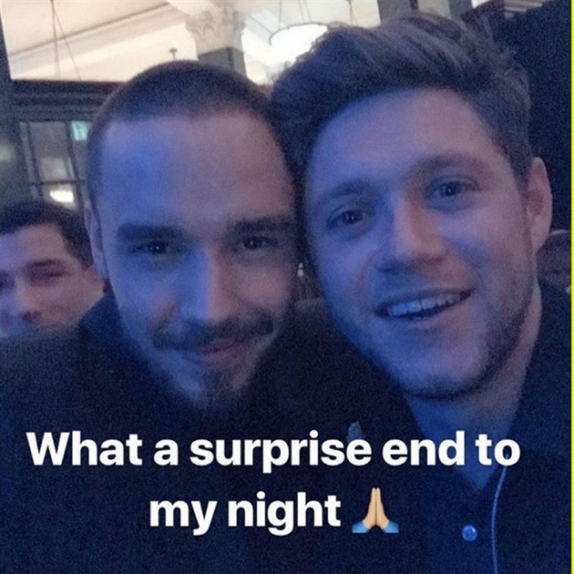 Liam a Niall se potkali na party