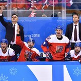 Ani podpora lavičky českým hokejistům nepomohla.