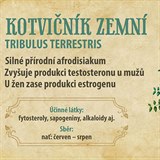 Kotvink zemn neboli Tribulus terrestris je znm u po celm svt.