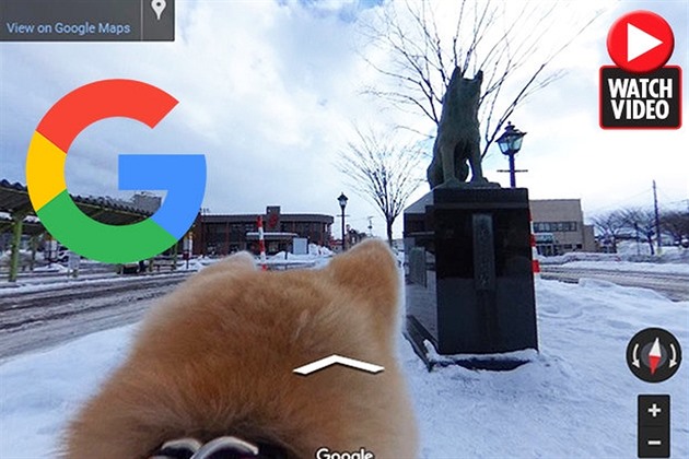 Google mapy nabízí pohled i z psího pohledu