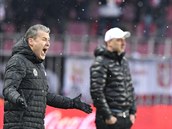 Trenérský souboj v derby vyhrál sparanský Pavel Hapal nad slávistou Jindichem...
