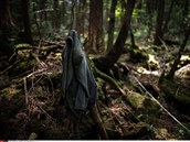 O lese Aokigahara byl natočen například film The Sea of Trees. Hlavní roli si v...