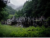 Hřbitov u lesa je určen pro sebevrahy, kteří nemají příbuzné, a tak je nemá kdo...