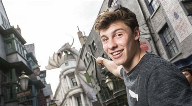 Shawn Mendes miluje Harryho Pottera.