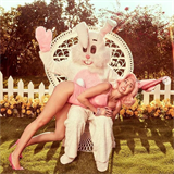 Miley trp v nru zajka, kter j dv vprask.
