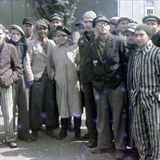V Dachau byli vznni zejmna politit vzni, homosexulov i Romov. Postupem asu tam nacist deportovali m dl vce id.