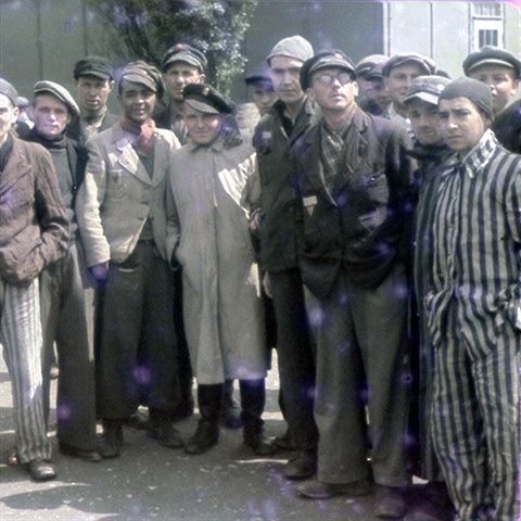 Do Dachau byli vznni zejmna politit vzni, homosexulov i Romov....