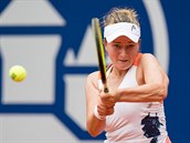 Tenistka Barbora Krejíková se pustila do ech.