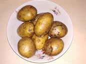 Krzysztof Szufla fotí teba i brambory.