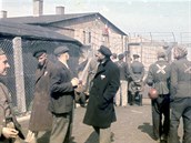 Na fotce politití vzni v Dachau se svým táborovým znaením - erveným...