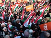 Fidesz slaví vítzství ve volbách.
