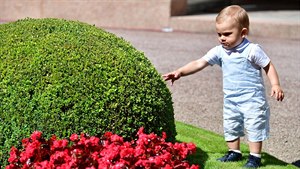 Princ Oscar - syn �védské princezny Victorie a prince Daniela.