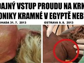 údajný vstup proudu na krku Moniky v Egypt údajn nebyl, dokazují tyto snímky...