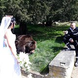 Nevěsta si na zámku povodila dokonce i medvěda.