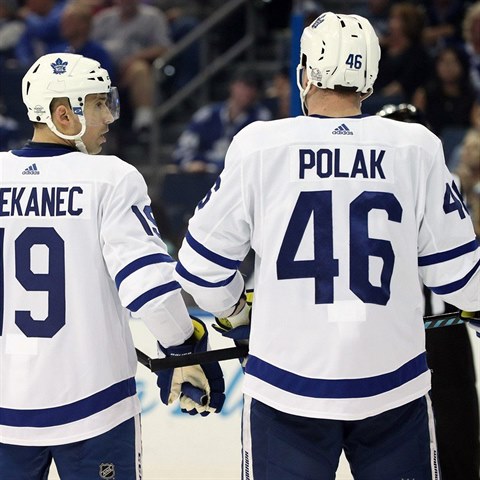 Tom Plekanec se spoluhrem Romanem Polkem.