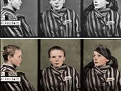 Dívka jménem Czeslawa Kwoka byla do koncentraního tábora Osvtim deportována...