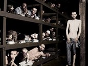 Takhle vzni spali v koncentraním táboe v Osvtimi