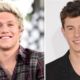 Shawn Mendes a Niall Horan