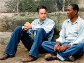 Morgan Freeman ve Vykoupení z vznice Shawshank.