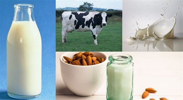 Kravské, nebo rostlinné mléko? Lidé stále častěji upřednostňují mandlové nebo sojové nápoje. Pozor, bývají mnohdy kaloričtější než mléko kravské. 